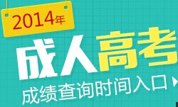 2022年广东省成人高考成绩